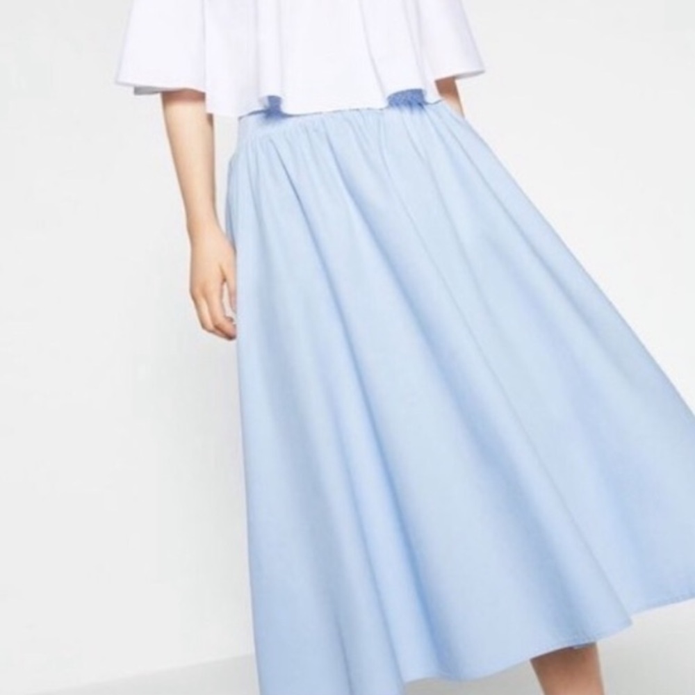 Zara midi skirt